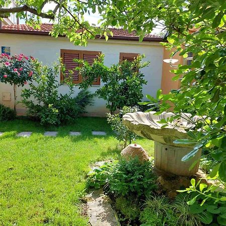 פאז'אנה Adriatic Apartments Nada מראה חיצוני תמונה