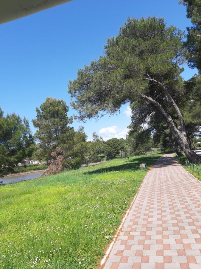 פאז'אנה Adriatic Apartments Nada מראה חיצוני תמונה