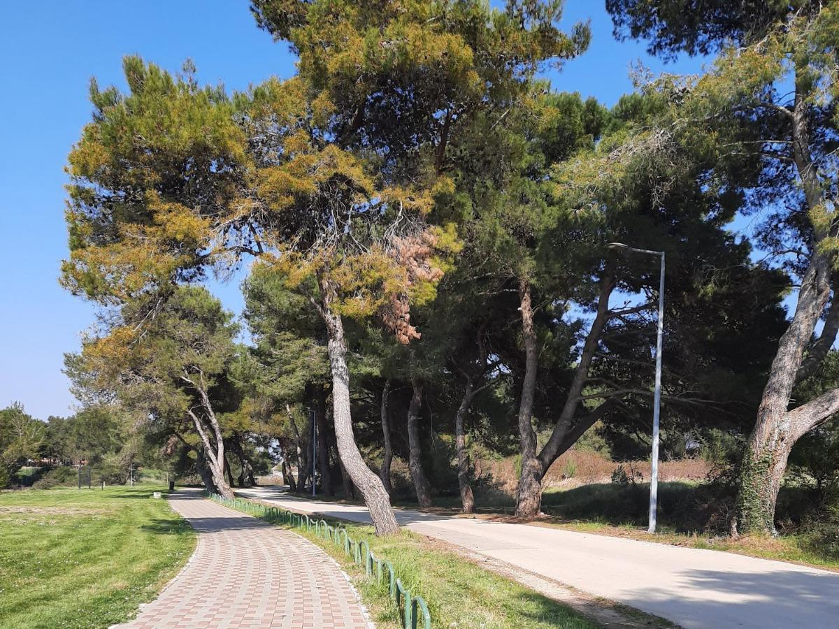 פאז'אנה Adriatic Apartments Nada מראה חיצוני תמונה