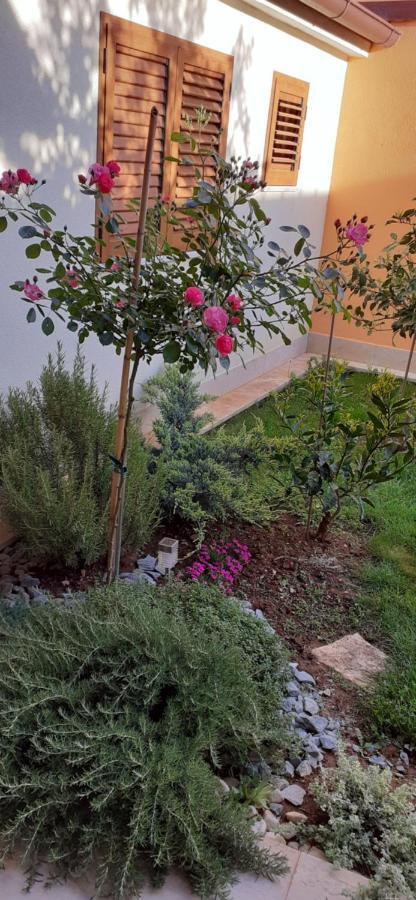 פאז'אנה Adriatic Apartments Nada מראה חיצוני תמונה