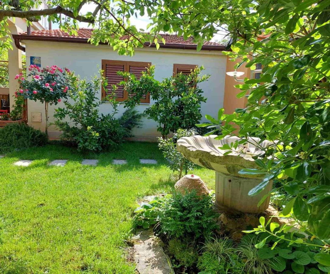 פאז'אנה Adriatic Apartments Nada מראה חיצוני תמונה