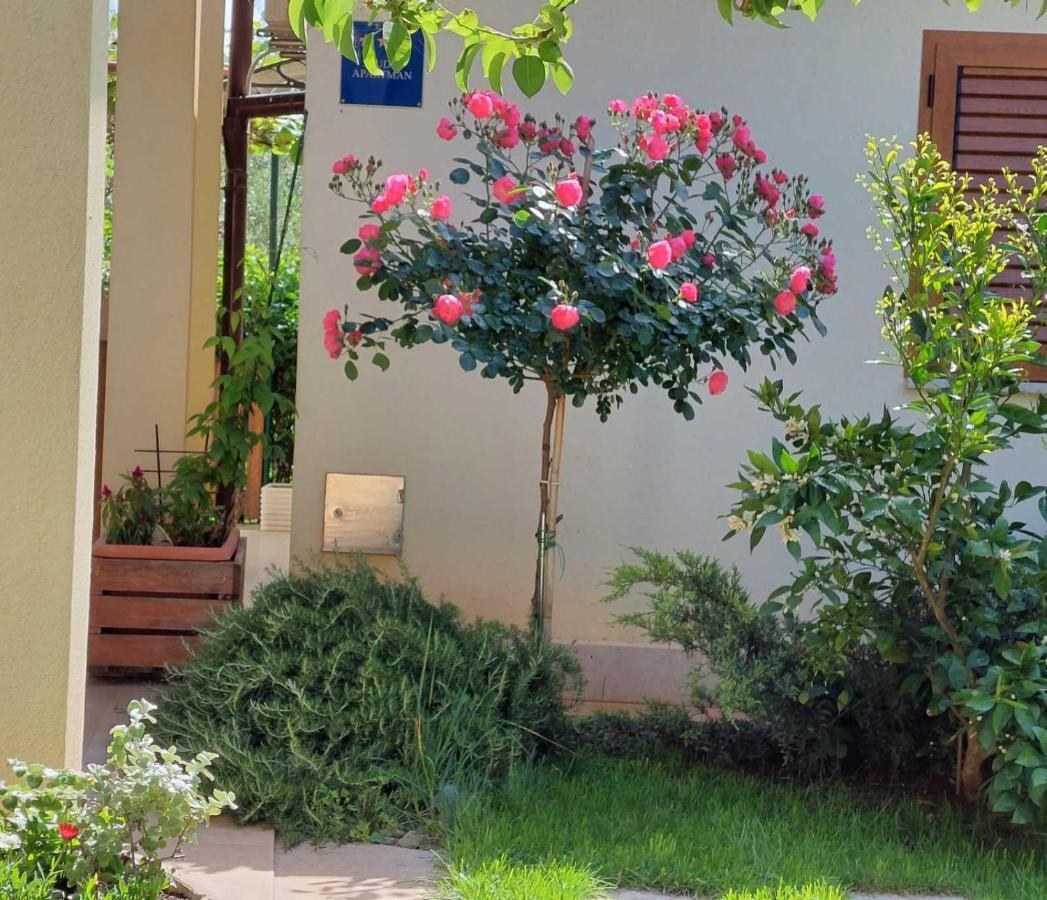 פאז'אנה Adriatic Apartments Nada מראה חיצוני תמונה